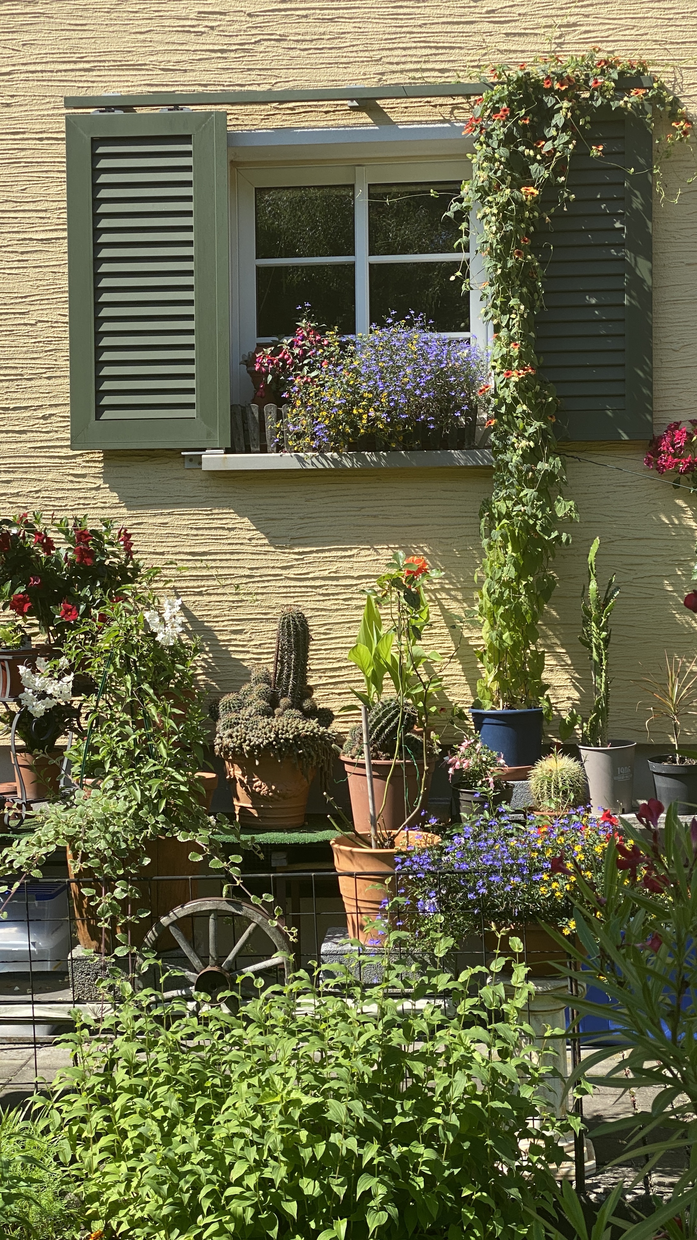 Gelbes Haus mit grünen Fensterläden, umgeben von Blumen und Pflanzen